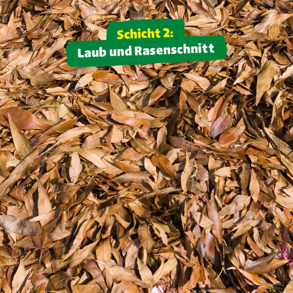 Dein DIYHochbeet für den Balkon oder Garten hagebaumarkt München